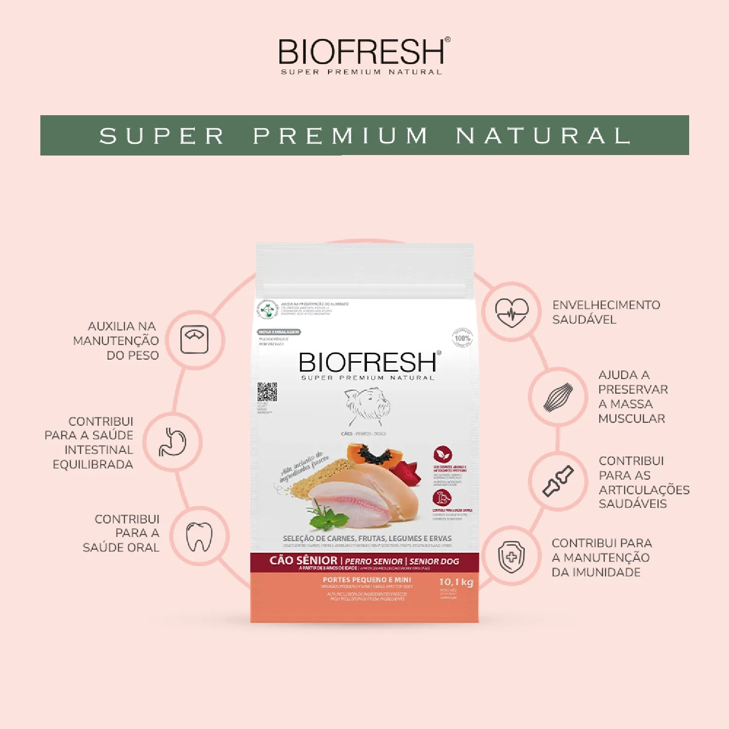Racao Biofresh Caes Senior Racas Pequenas e Minis-01